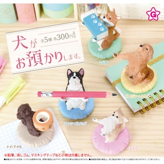 ✿ พร้อมส่งยกชุด ✿ กาชาปองน้องหมายกของ Inu ga Oazukarishimasu.