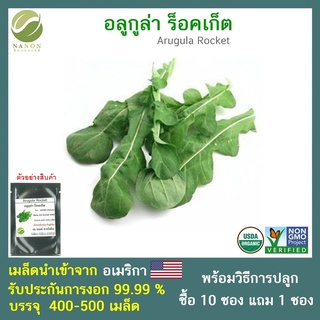 เมล็ดอลูกูล่า ร็อคเก็ต(Arugula Rocket ) 400-500 เมล็ด