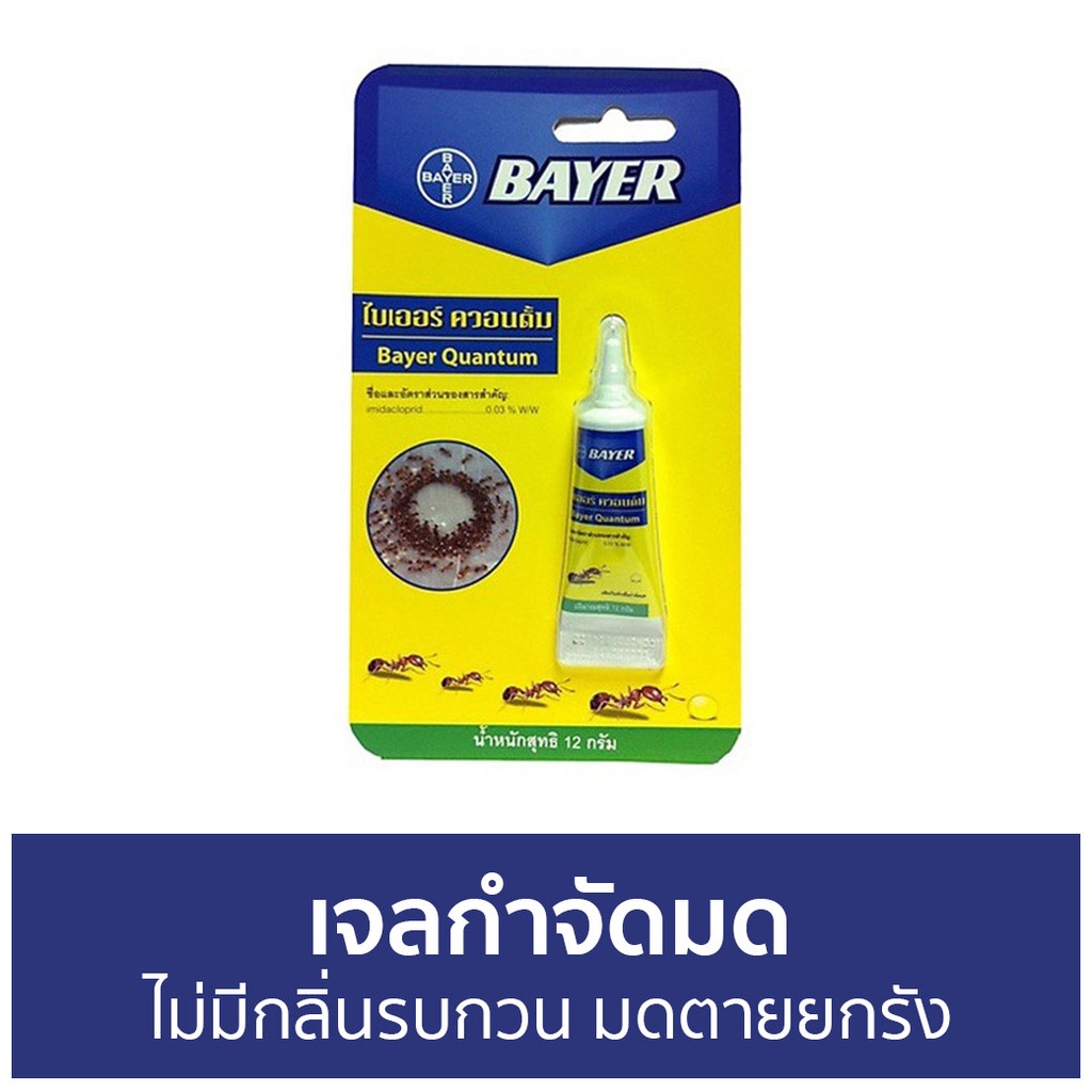 เจลกำจัดมด Bayer ไม่มีกลิ่นรบกวน มดตายยกรัง Quantum - กําจัดมด