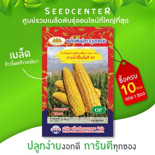 เมล็ดข้าวโพดสายน้ำผึ้ง ขนาด 15 กรัม ภูเขาทอง