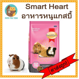 Smart Heart สมาร์ทฮาร์ท สัตว์ฟันแทะ หนูตะเภา หนูแกสบี้ ขนาด 1 กิโลกรัม