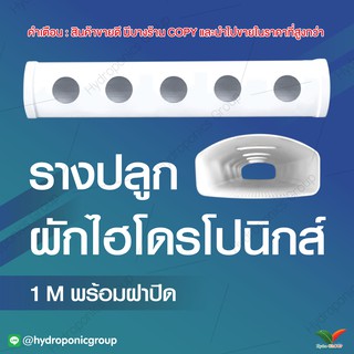 รางปลูกผักไฮโดรโปนิกส์แบบน้ำนิ่ง ยาว 1 เมตร 5 ช่องปลูก by hydroponicgroup