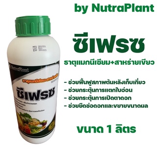 NutraPlant ซีเฟรซ แมกนีเซียม+สาหร่ายเขียว ชนิดน้ำ ขนาด 1 ลิตร *ส่งไว เก็บปลายทาง