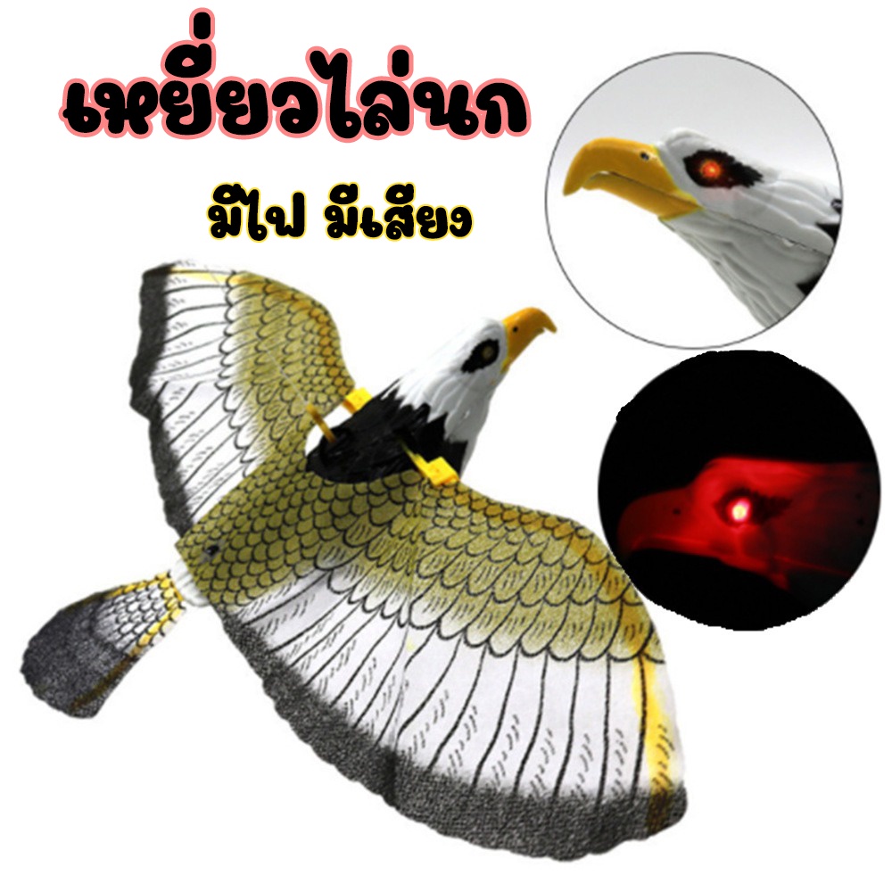 รายการ 92+ ภาพพื้นหลัง อุปกรณ์ เลี้ยง เหยี่ยว ความละเอียด 2k, 4k