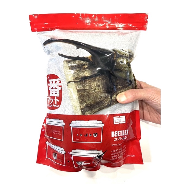 🥇ICHIBAN MAT for Rhino beetles อิชิบันแมท อาหารหนอนกว่างสูตรพรีเมี่ยม สำหรับหนอนกว่างเฮอร์คิวลิส✨สะดวกไม่ต้องผสมน้ำ✨