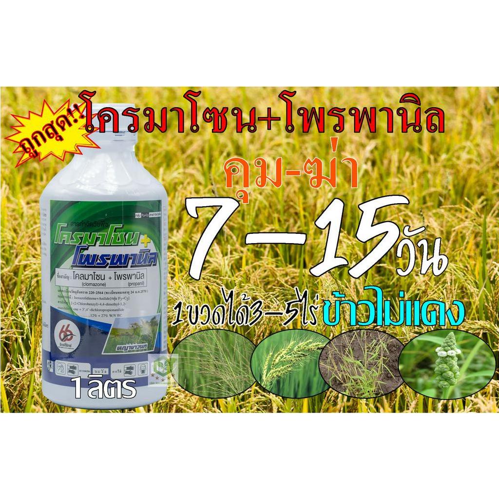 โคลมาโซน + โพรพานิล (ใหม่) 1ลิตร  ข้าวไม่แดง ยาคุม-ฆ่า ในนาข้าว กำจัดหญ้าวข้าวนก หญ้าดอกขาว หญ้าแดง หญ้ากระดูกไก่