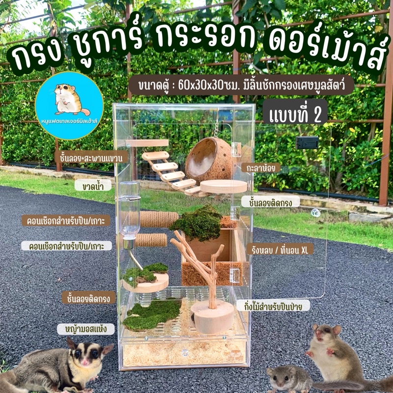 ตู้No.2 กรงกระรอก ชูการ์ ดอร์เม้าส์ นก ตู้อะคริลิค60x30ซม. /บ้านชูาการ์/บ้านกระรอก/บ้านดอร์เม้าส์/บ้านนก
