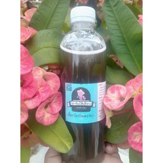 เชื้อราไตรโคเดอร์มา ขนาด 500 ML กำจัดโรคเชื้อรา ในพืช,ต้นไม้ ต่างๆ