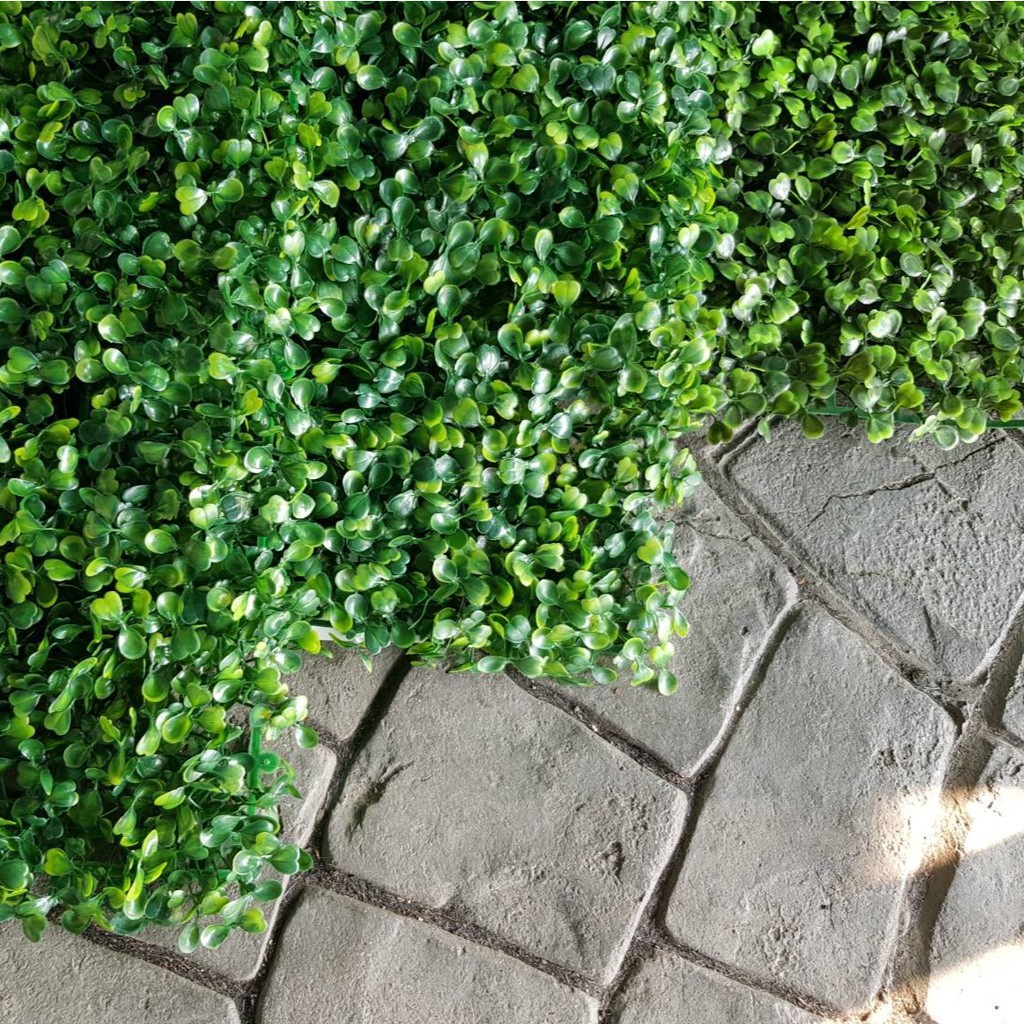 หญ้าตีนเป็ด หญ้าเทียม หญ้าแผ่นขนาด 40×60cm มีให้เลือก 3 รุ่น บาง กลาง หนาแน่น จัดสวนแนวตั้ง ติดผนัง - รูปที่ 2