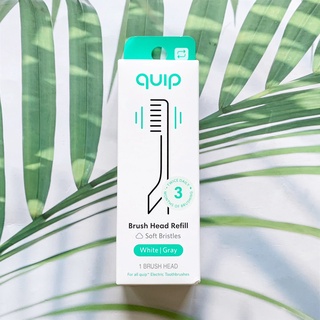 (quip®) Brush Head Refill Soft Bristles, White/Gray 1 Brush Head หัวแปรงรีฟิล สำหรับแปรงฟันไฟฟ้า ขนแปรงนุ่ม