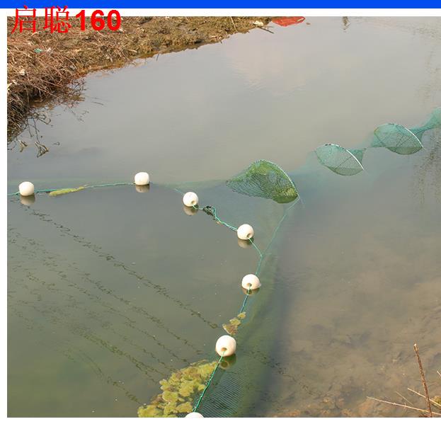 My Image 37