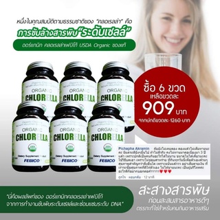 Chlorella 6 ขวด ราคาส่ง ดีท๊อกซ์เสริมภูมิคุ้มกัน บำรุงผิว หน้าใส หน้าเด็ก 500 mg 180 เม็ด