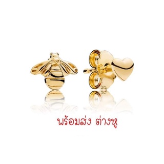 Pandora shine earrings ต่างหูผึ้ง