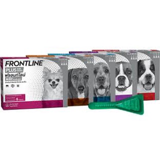 Frontline Plus ยาหยดกำจัดเห็บ หมัด ไข่หมัด สำหรับสุนัข