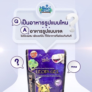 Hikari Leopa Gel อาหารสำหรับสัตว์เลื้อยคลานที่กินแมลง อาหารตุ๊กแก 60g