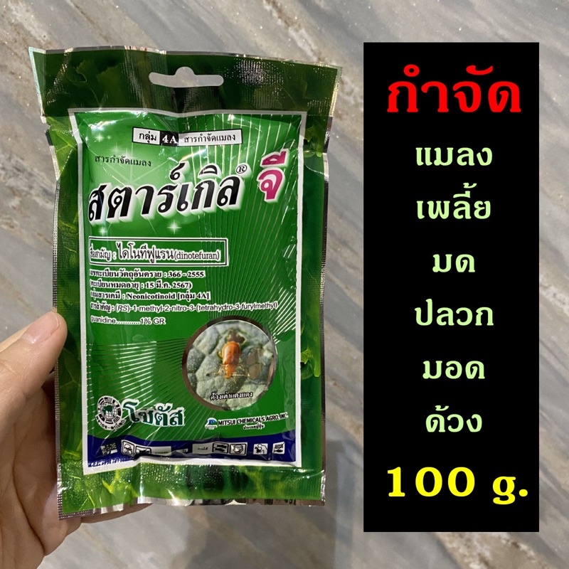 ดีล ออนไลน์ จากSandy Shop 19 | Shopee Thailand
