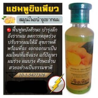 แชมพู ขิงเพียว ฝาเขียว (1แถม1)250ml
ปัญหาผมร่วงอย่างเห็นผล