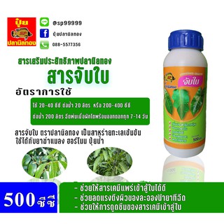 สารจับใบ ปุ๋ยน้ำ ปุ๋ยน้ำทางใบ ฮอร์โมนน้ำ ตราปลานิลทอง  ขนาด 500 ซีซี