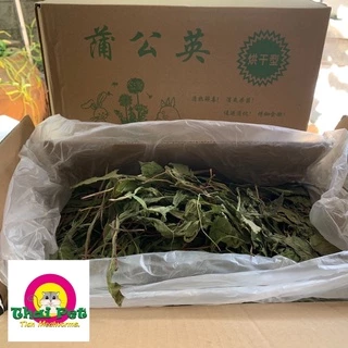 แดนดิไลอ้อน Dandelion ต้นหญ้าสำหรับสัตว์เลี้ยงฟันแทะ หญ้ากระต่าย อาหารเสริมกระต่าย
