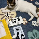 reviewHOCO M1 Pro หูฟังสมอลทอร์ค รูปแบบ 3D สเตอริโอหูฟัง พร้อมไมโครโฟน พอร์ต aux 3 5for PhonType C comment 4