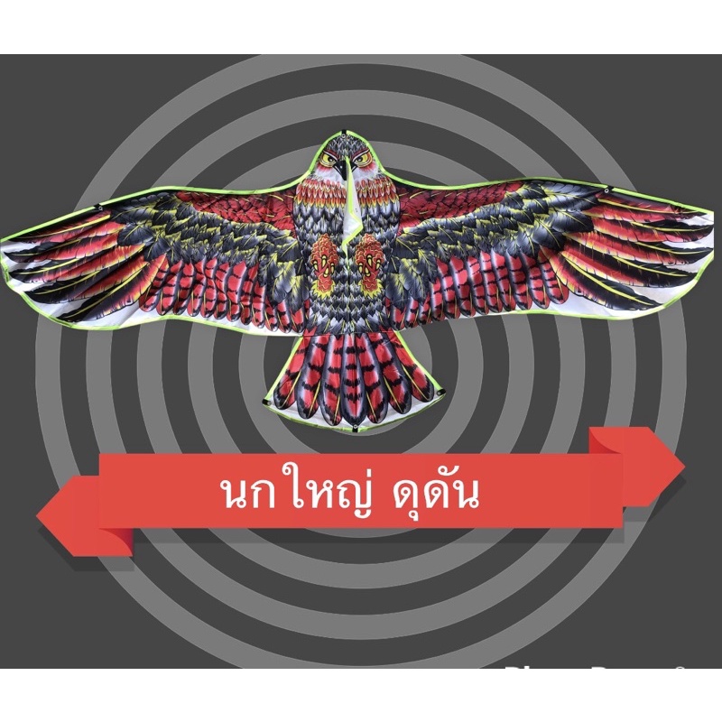 ว่าว ว่าวไล่นก ว่าวนก  แถมเชือกว่าวยาว 12 บาท ทุกตัว ราคาถูก ว่าวนกตัวใหญ่ ของเล่นเด็ก ไล่นกพิราบ - รูปที่ 7