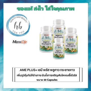 ++เสริมภูมิคุ้มกัน  Maxxlife AME PLUS+ เอมี พลัส พลูคาว กระชายขาว 60 Cap.