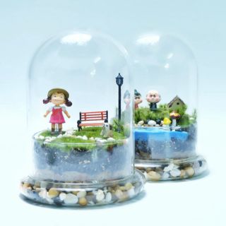 ชุดจัดสวนในขวดแก้ว ขวดโดมแก้ว dome glass terrarium diy complete set for beginner