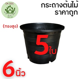 กระถางต้นไม้ 6 นิ้ว เซต5ใบ กระถางดำ กระถางพลาสติก ขนาด6นิ้ว