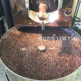 กาแฟคั่วดอยช้างอ่อน กลาง เข้ม /Light Roast /Medium Roast/Dark Roast (1ถุงx200g.)