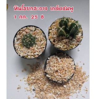 หินโรยกระถาง​ หินโรยแคคตัส​