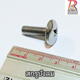 สกรู​บังลมชุดสี จำนวน 10 ตัว ขนาด (เบอร์​10)M6x10,15,20,25