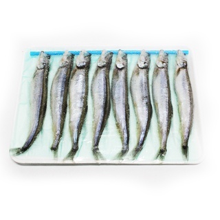 Adfood ปลาไข่ 3L (แช่แข็ง)  บรรจุ 8 ตัว /แพ็ค FROZEN FEMALE CAPELIN ROE 3L (SHISHAMO)