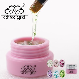 สีทาเล็บเจล ยาทาเล็บเจล สีเจลผสมดอกไม้แห้ง Flower Fairy Gel ขนาด 3g. ยี่ห้อ Chegel