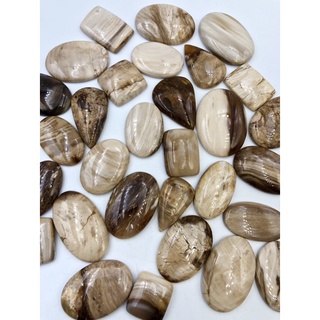 1Pc Natural Petrified Wood Cabochon Top quality for making handmade wire wrapping.