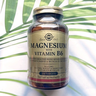 แมกนีเซียม วิตามินบี 6 Magnesium with Vitamin B6, 250 Tablets (Solgar®) บี6 B-6 B 6 ส่งเสริมการสร้างแร่ธาตุกระดูก