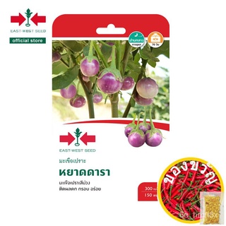 เมล็ดมะเขือยาว (เมล็ดพืชในบ้าน) Star Drop Seed เมล็ดพันธุ์ผักสวนผักเมล็ดลูกศรสีแดง/เมล็ด SUVJ