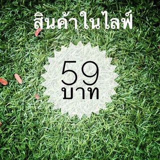 สินค้าในไลฟ์ ราคา 59 บาท กระเป๋าสตางค์มือสอง