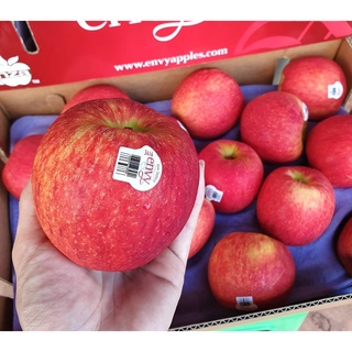 TOP-1แอปเปิ้ลเอนวี่ ENVY APPLE (NewZealand/USA) (4ลูก/ไซส์XL) ~ลดพิเศษ~ Apple Premium ลูกใหญ่ หวาน กรอบ อร่อย