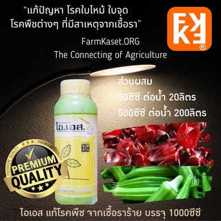 โรค กระเจี๊ยบ กระเจี๊ยบเขียว ใบจุด ฝักจุด ฝักลาย เพลี้ยกระเจี๊ยบ หนอน ปุ๋ย สำหรับ กระเจี๊ยบ คุณภาพสูง (ใช้ได้ทุกพืช) FK