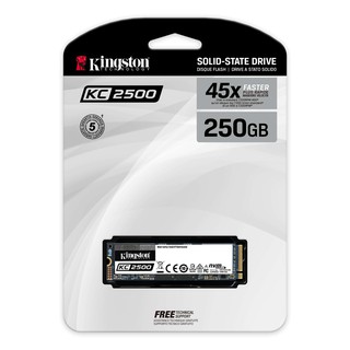 250 GB SSD (เอสเอสดี) KINGSTON SKC2500 NVMe M.2 2280 (SKC2500M8/250G)