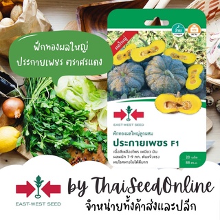 GGEW เมล็ดพันธุ์ซฟ ฟักทองประกายเพชร 20เมล็ด ตราศรแดง