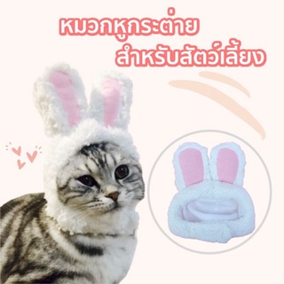 หมวกสำหรับตกแต่งสัตว์เลี้ยง