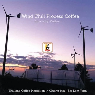 เมล็ดกาแฟคั่วสูตรมาตร Roasted Coffee Standard