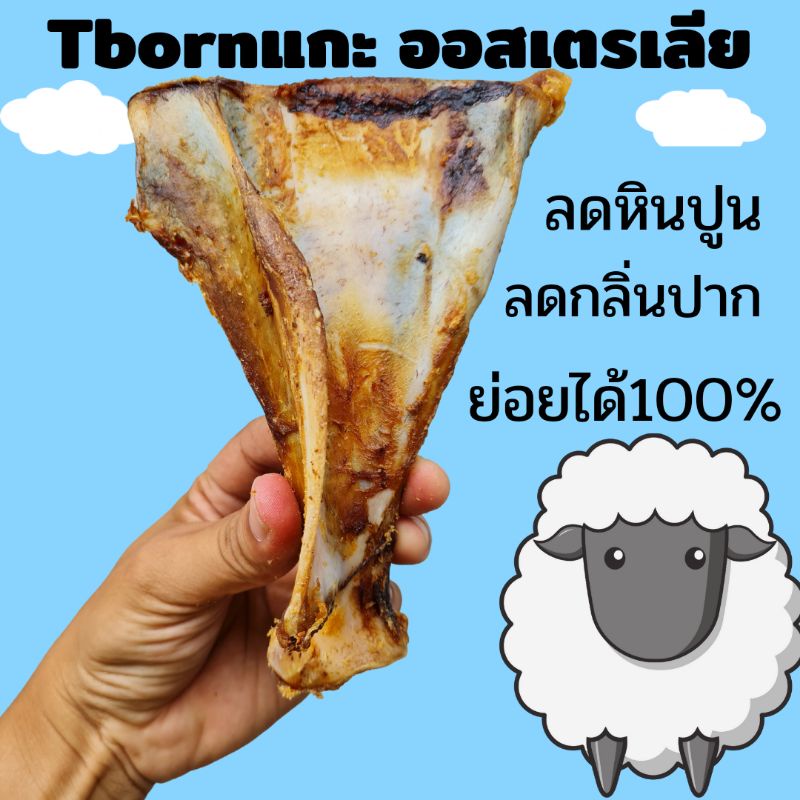 สินค้าขายดี Tborn แกะขัดฟัน ออสเตรเลีย