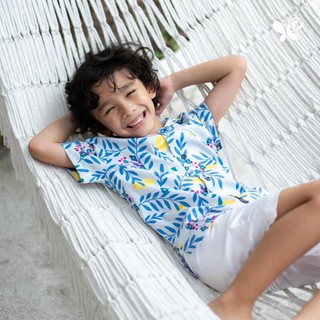 Papillon Boy Premium Twill Summer Shirt - Star Fruit เสื้อเชิ้ต แฟชั่นเด็กผู้ชาย พิมพ์ลายมะเฟือง