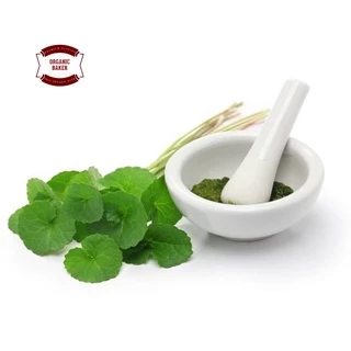 ผงใบบัวบก ใบบัวบกผง ออร์แกนิค ไม่มีน้ำตาล ขนาด 200g Organic Centella Asiatica Powder สมุนไพร แก้ช้ำใน ใบบัวบกแท้