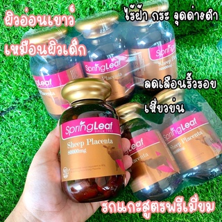 Spring Leaf Sheep Placenta 80000mg 90 capsules รกแกะของแท้จากออสเตรเลีย