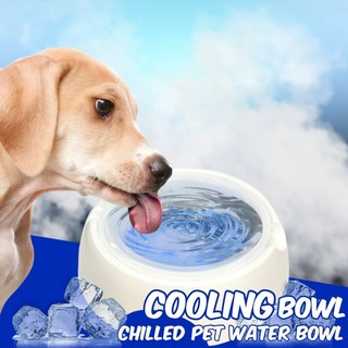 ชามน้ำเจลเย็นดับร้อนสัตว์เลี้ยง Cooling bowl ชามเจลโซลูชั่นสัตว์เลี้ยง By สุวภัทร SWP Shop