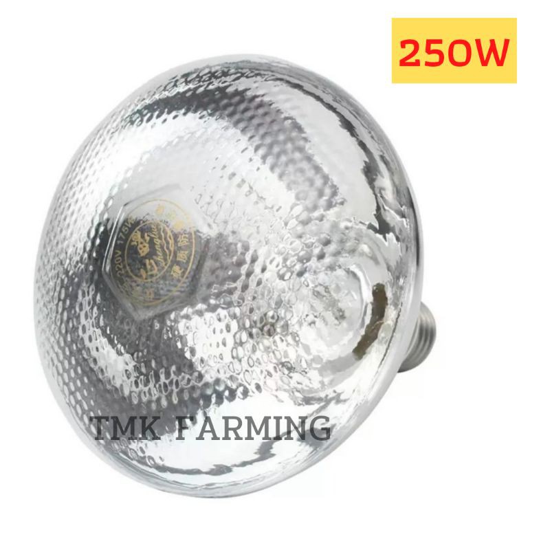 หลอดไฟอินฟาเรด กกสัตว์เลี้ยง 250วัตต์ [ขาวหนาแสงส้ม] แสงสีวอม E27 infrared bulb1