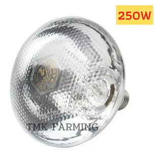 หลอดไฟอินฟาเรด กกสัตว์เลี้ยง 250วัตต์ [ขาวแสงส้ม] E27 infrared bulb1